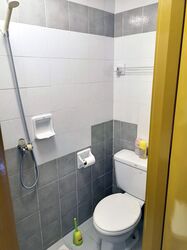 Cavenagh Lodge (D9), Apartment #410344801